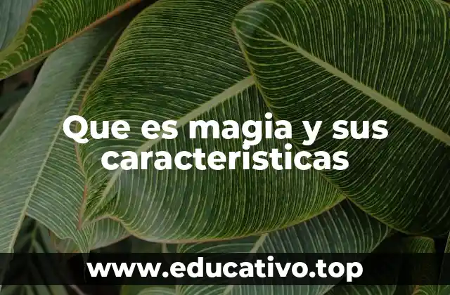 Que es magia y sus caracteristicas