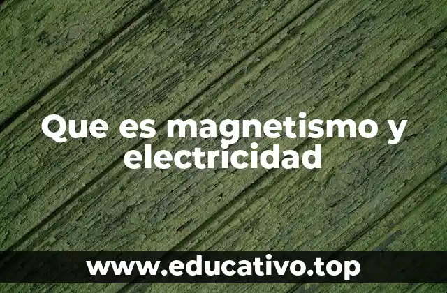 Que es magnetismo y electricidad