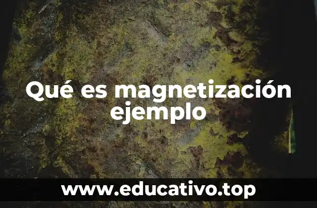 Qué es magnetización ejemplo