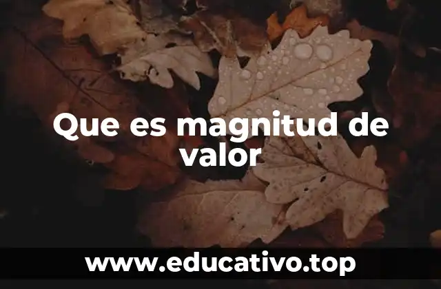 Que es magnitud de valor