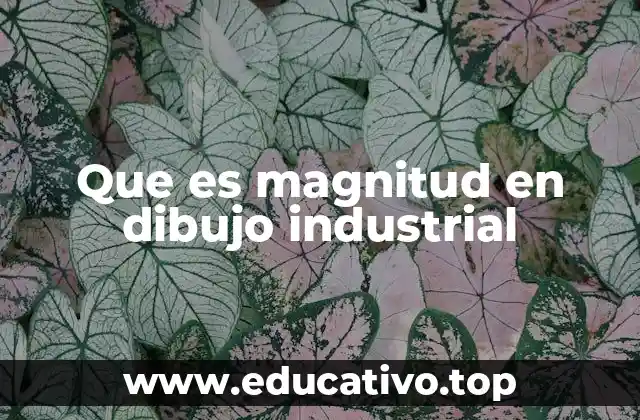 Que es magnitud en dibujo industrial