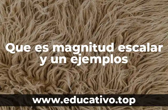 Que es magnitud escalar y un ejemplos