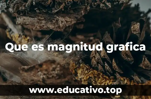 Que es magnitud grafica