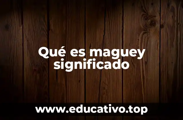Qué es maguey significado