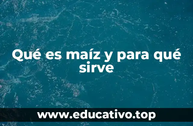 Qué es maíz y para qué sirve