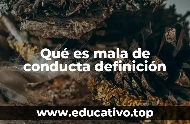 Qué es mala de conducta definición