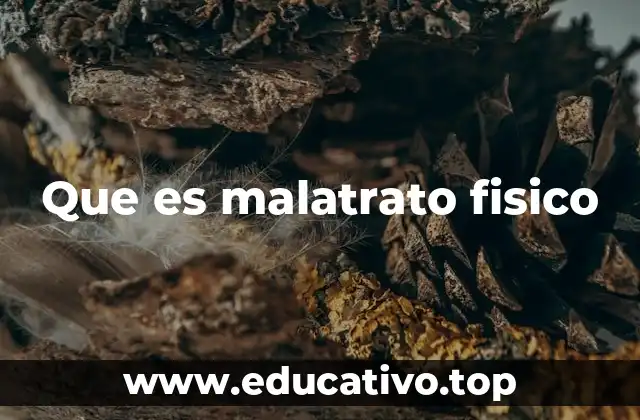 Que es malatrato fisico