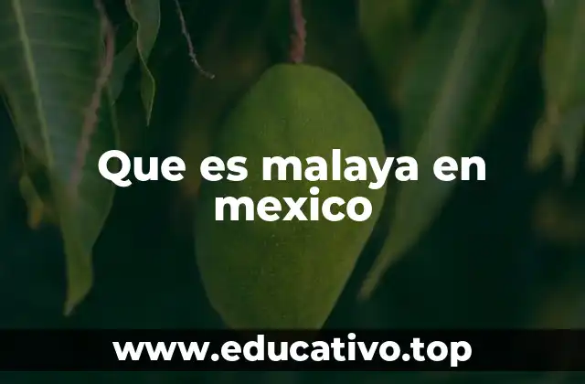 El uso de malaya en el habla coloquial de México