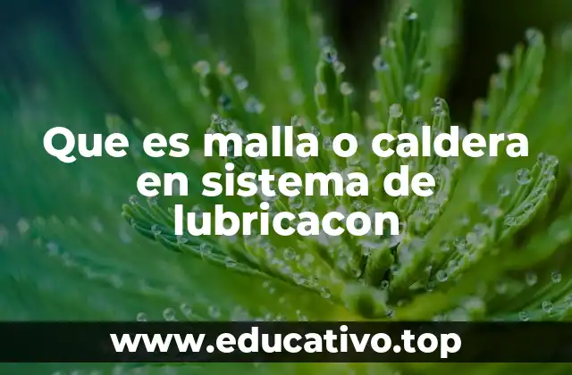 Que es malla o caldera en sistema de lubricacon