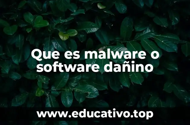 Que es malware o software dañino