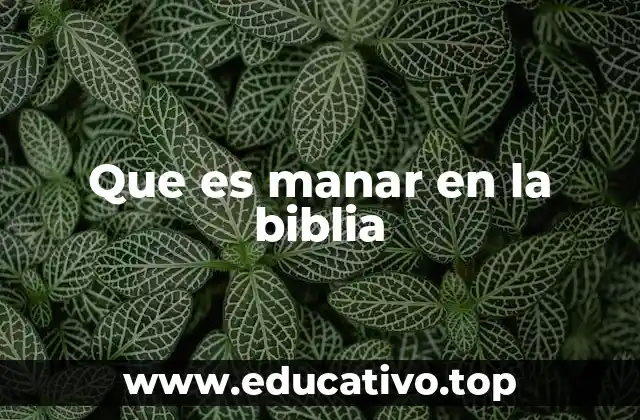 Que es manar en la biblia