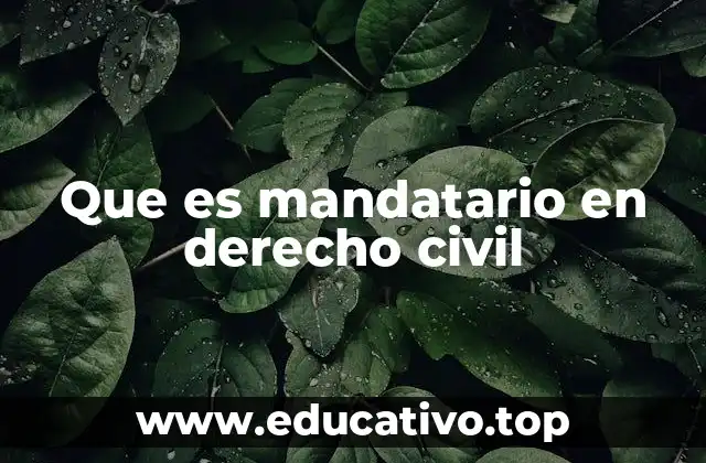 Que es mandatario en derecho civil