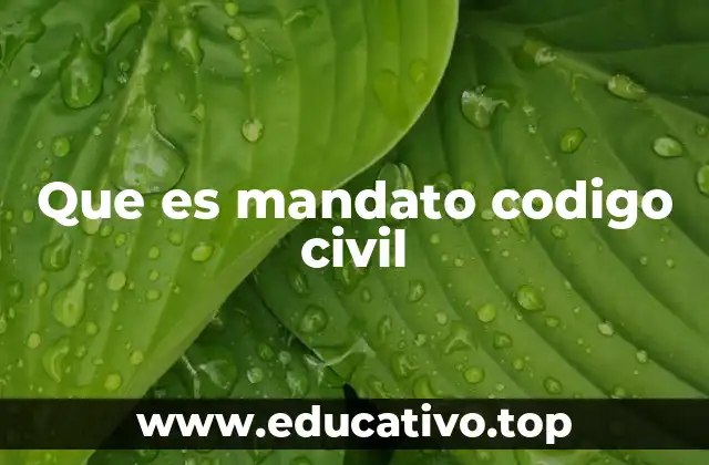 Que es mandato codigo civil