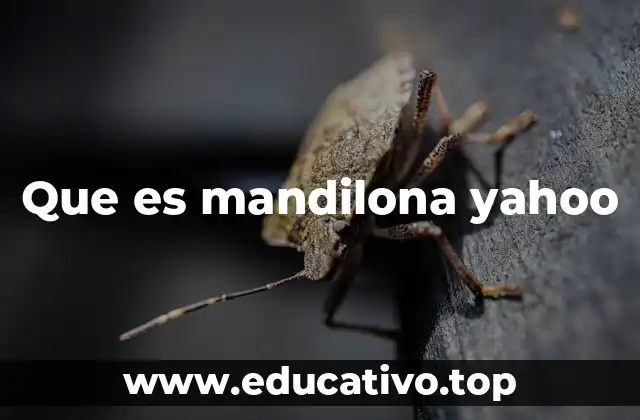 Que es mandilona yahoo