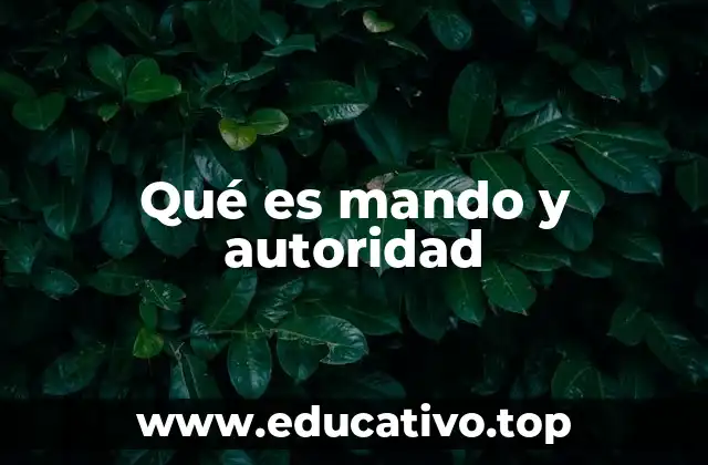 Qué es mando y autoridad