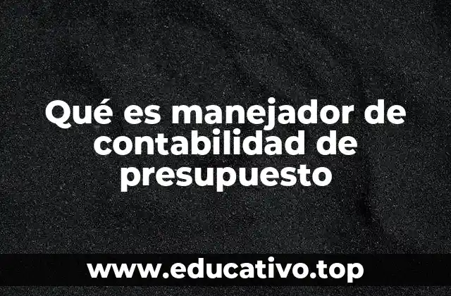 Qué es manejador de contabilidad de presupuesto