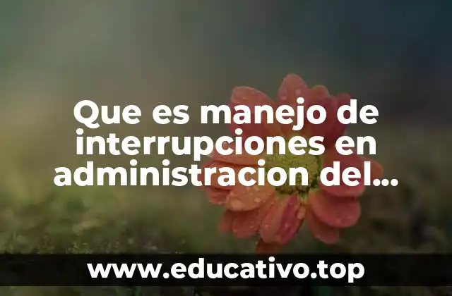 Que es manejo de interrupciones en administracion del tiempo