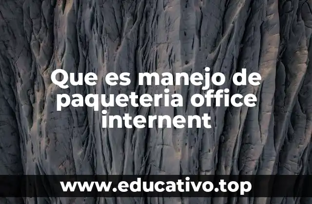 Que es manejo de paqueteria office internent