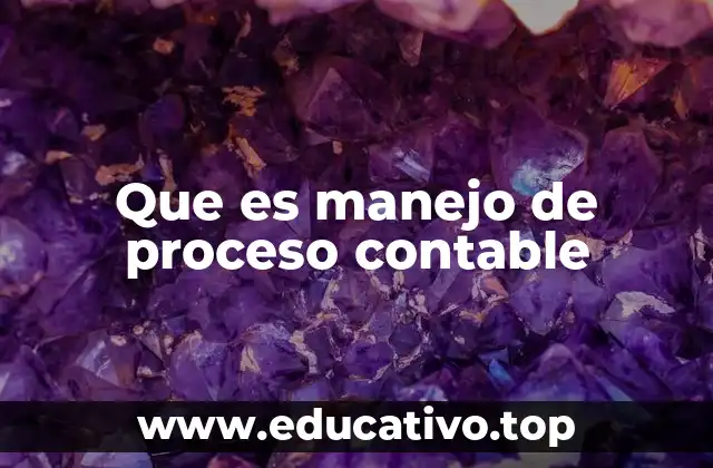 Que es manejo de proceso contable