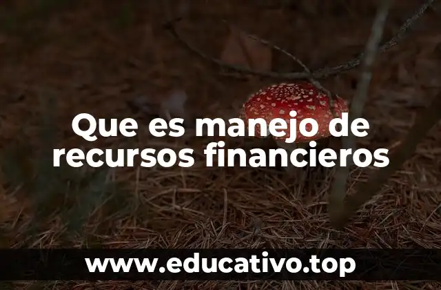 Que es manejo de recursos financieros