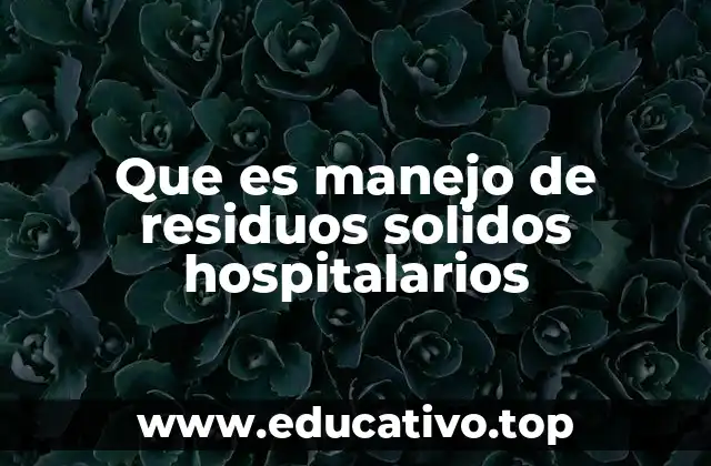 Que es manejo de residuos solidos hospitalarios
