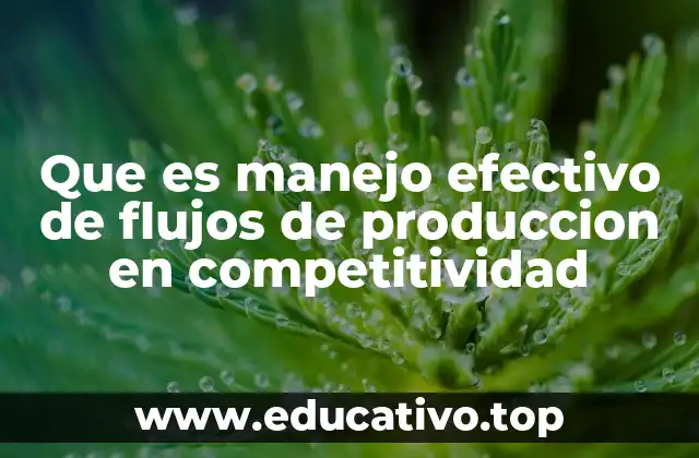 Que es manejo efectivo de flujos de produccion en competitividad