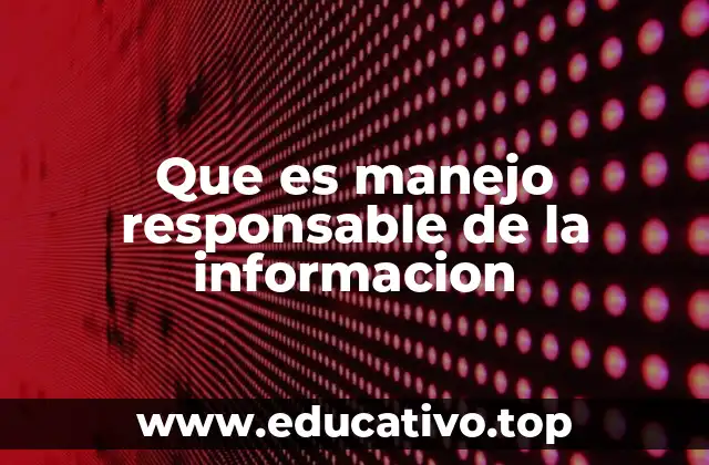 Que es manejo responsable de la informacion