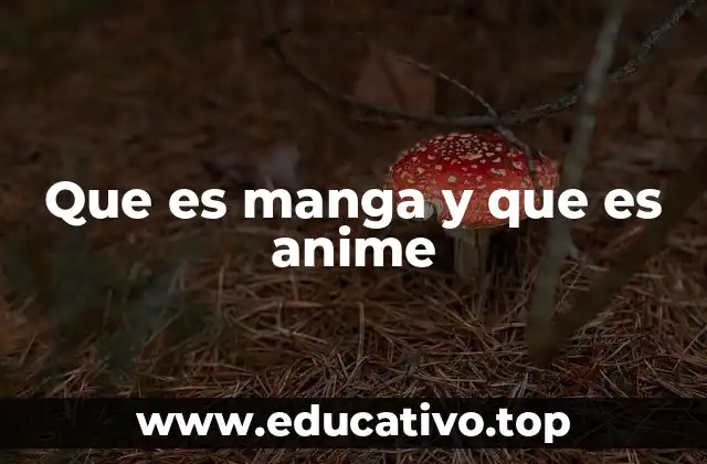 Que es manga y que es anime