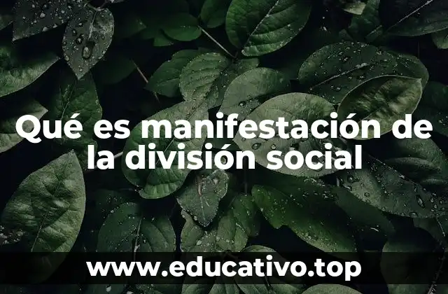 Qué es manifestación de la división social