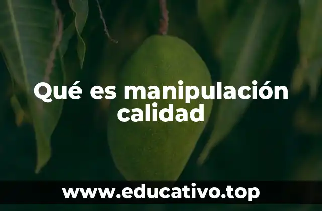 Cómo la percepción de calidad puede ser influenciada sin alterar el producto físico