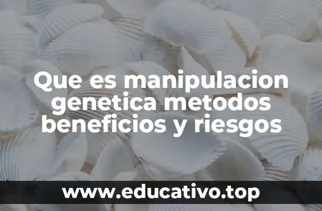 Que es manipulacion genetica metodos beneficios y riesgos