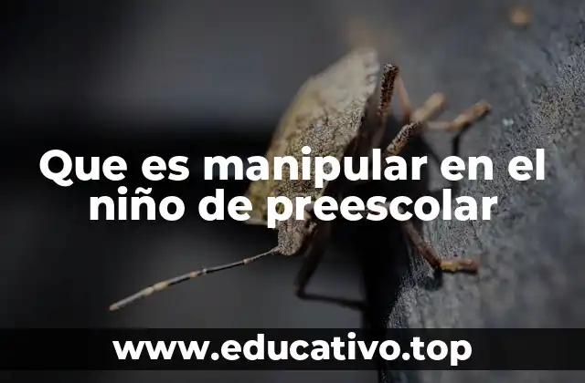 Que es manipular en el niño de preescolar