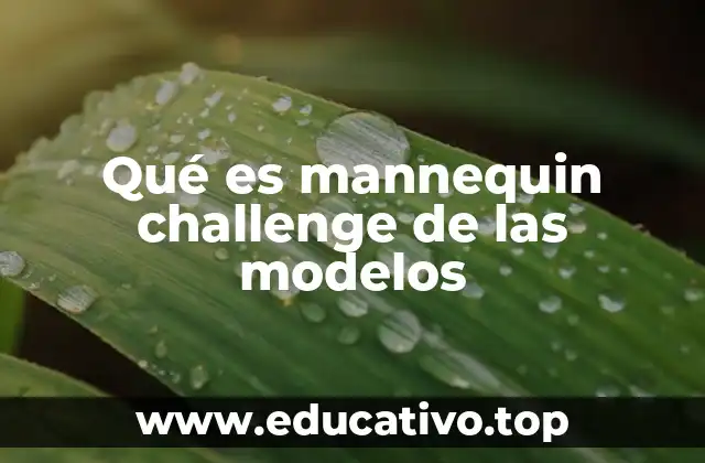 Qué es mannequin challenge de las modelos
