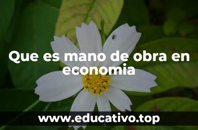 Que es mano de obra en economia