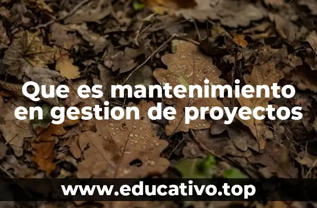 Que es mantenimiento en gestion de proyectos
