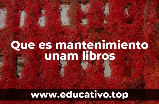 Que es mantenimiento unam libros
