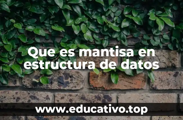 Que es mantisa en estructura de datos
