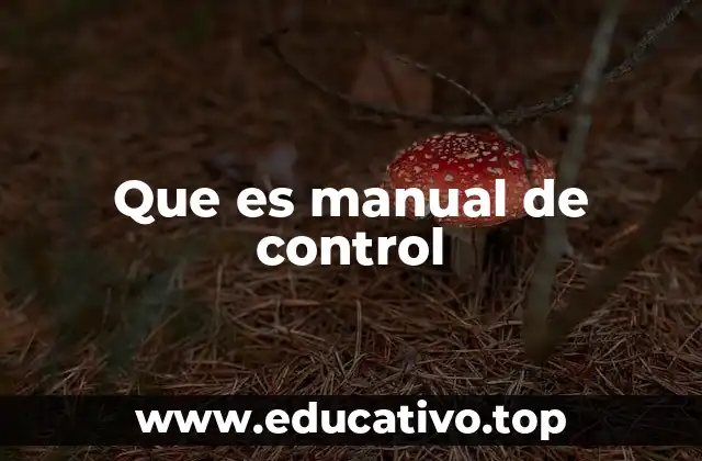 Que es manual de control