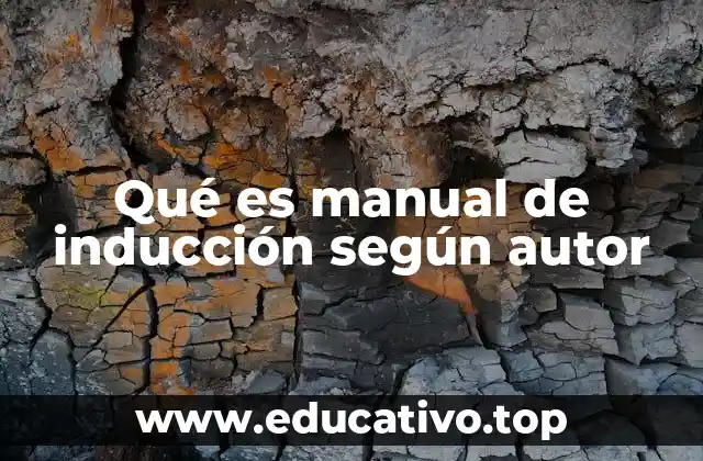 Qué es manual de inducción según autor