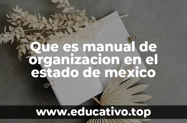 Que es manual de organizacion en el estado de mexico