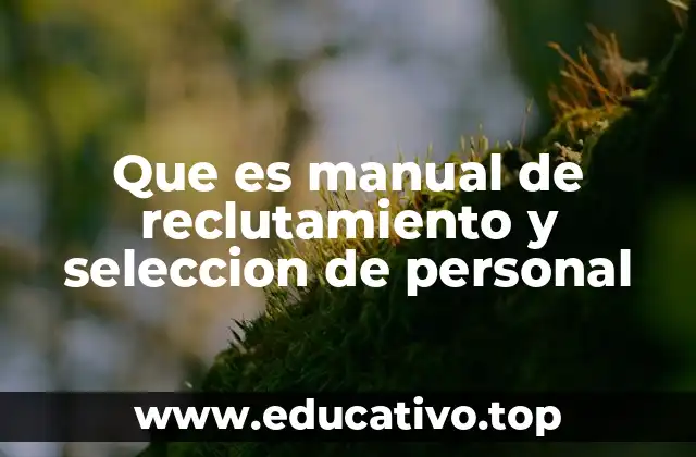 Que es manual de reclutamiento y seleccion de personal