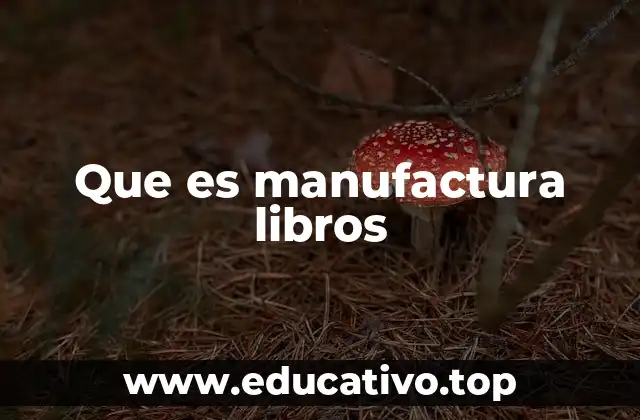 Que es manufactura libros