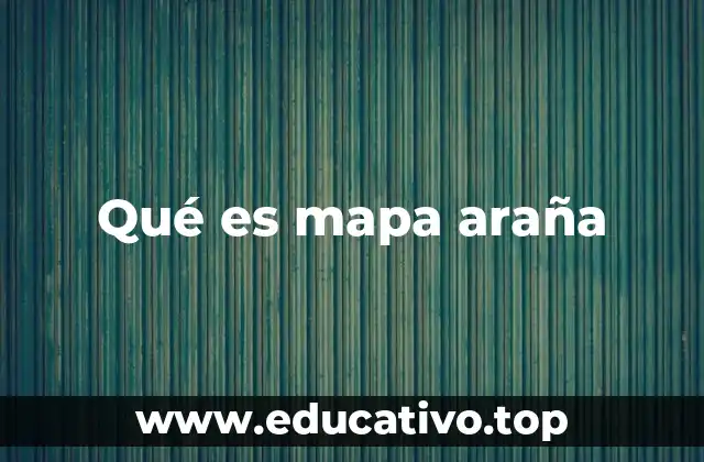 Qué es mapa araña