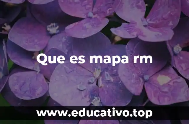 Que es mapa rm