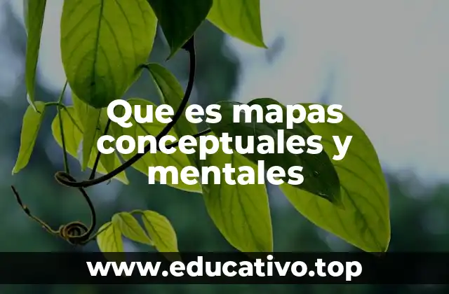 Que es mapas conceptuales y mentales