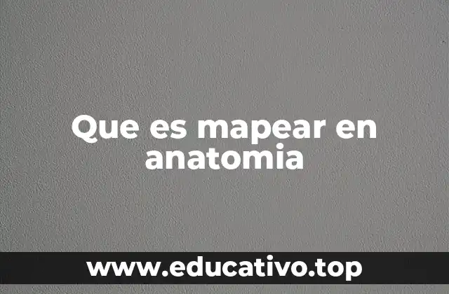 Que es mapear en anatomia
