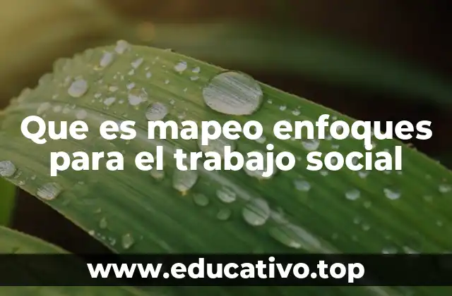 Que es mapeo enfoques para el trabajo social