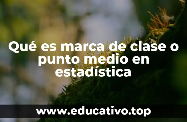 Qué es marca de clase o punto medio en estadística