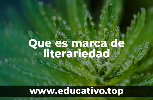 Que es marca de literariedad