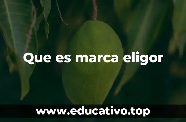 Que es marca eligor